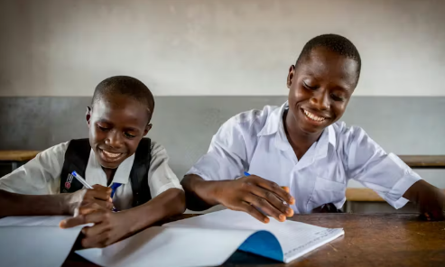 Homework Support & Tutoring