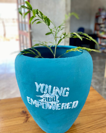 Young & Empowered Malawi - Growing Dreams